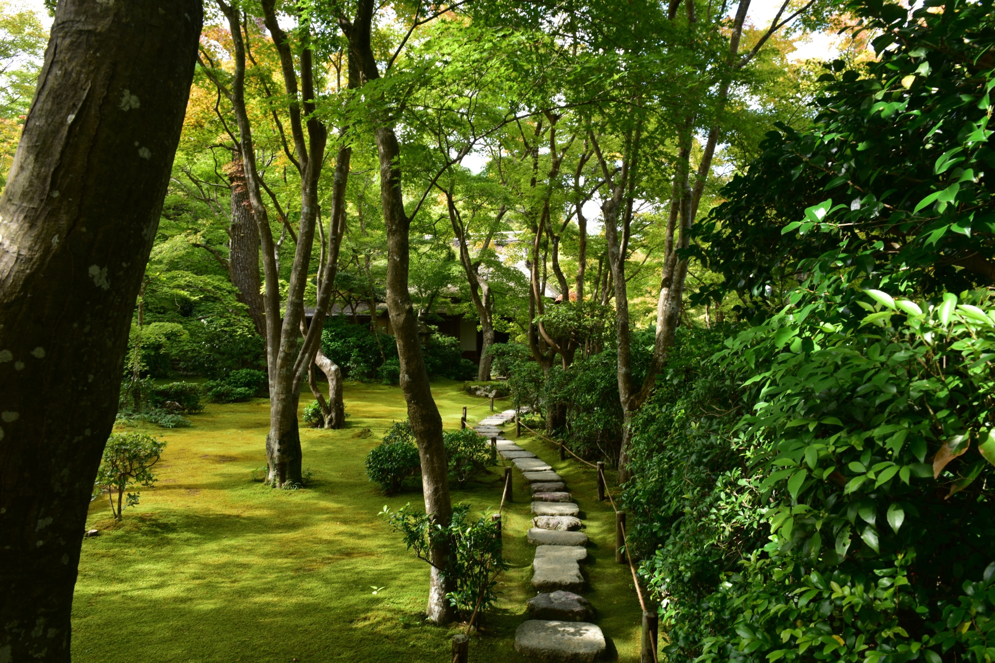 京都自助遊攻略