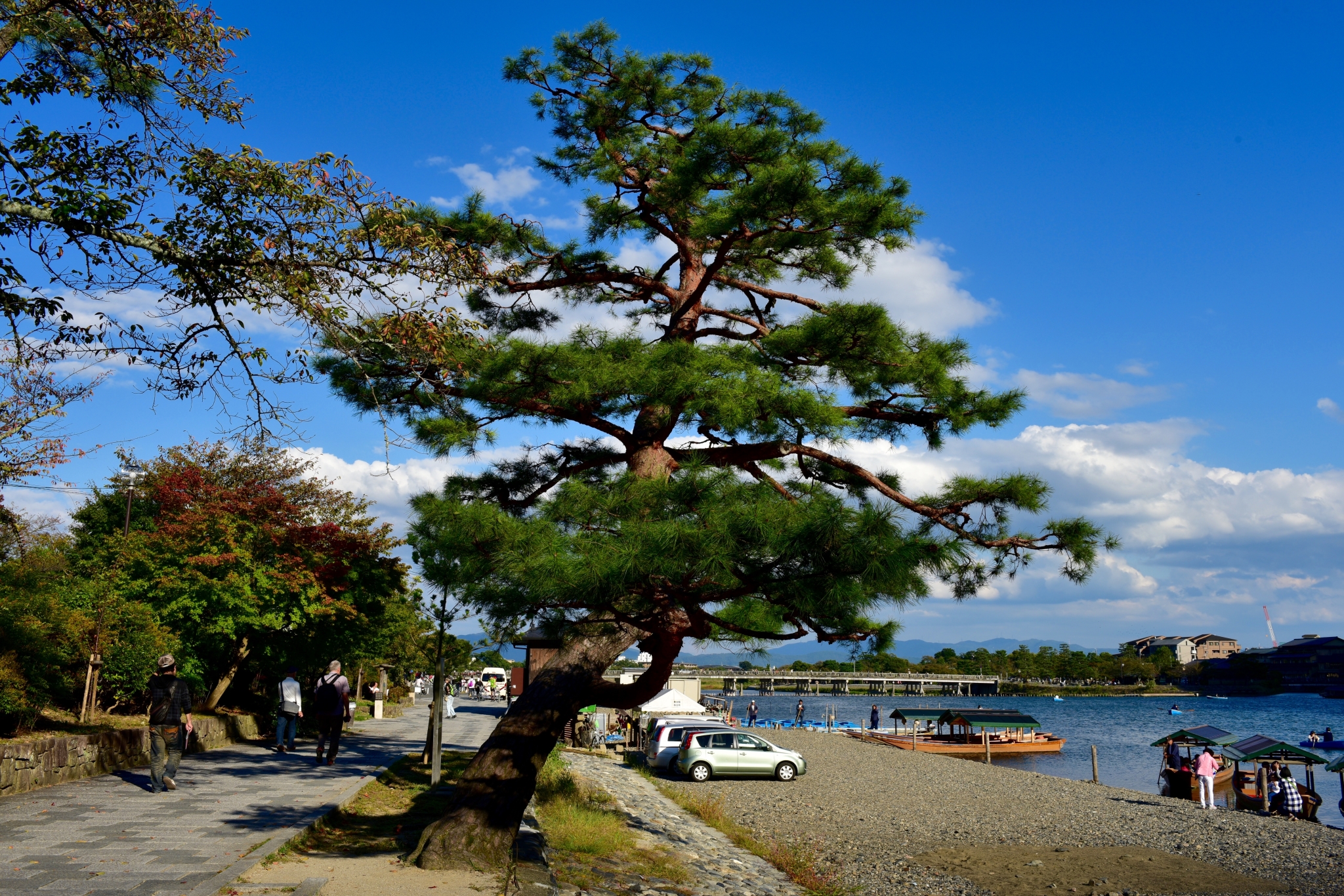 京都自助遊攻略