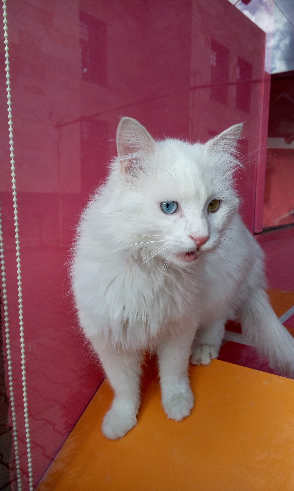 行程概览 特拉布宗-雷泽