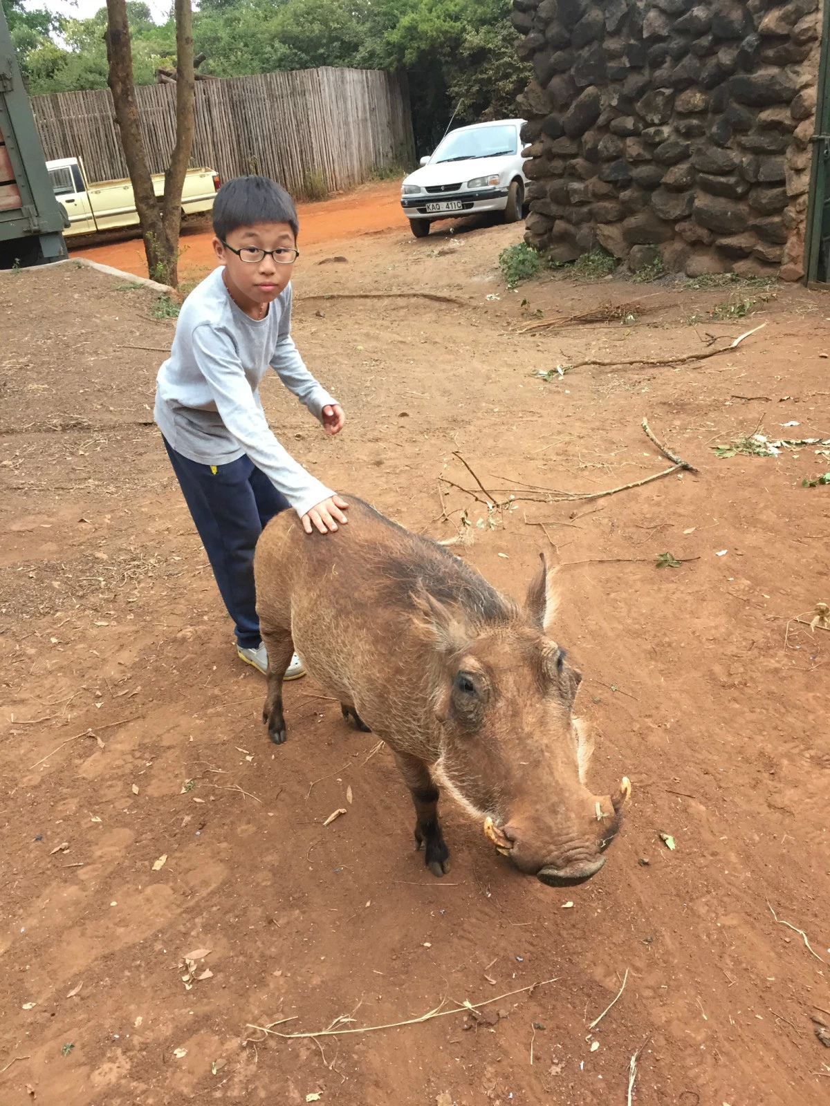 肯尼亞自助遊攻略