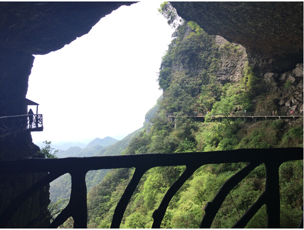 【夏日游】金佛山西坡线路