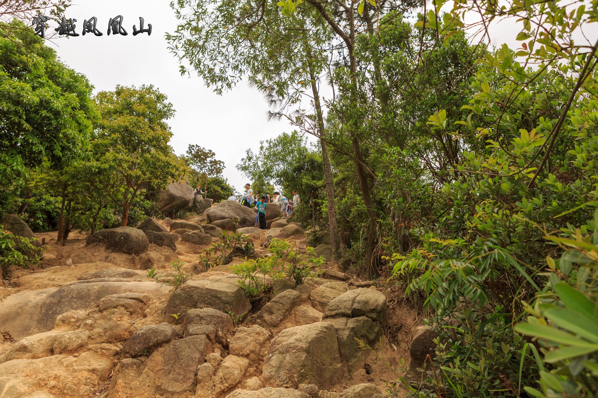 穿越珠海鳳凰山,珠海旅遊攻略 - 馬蜂窩