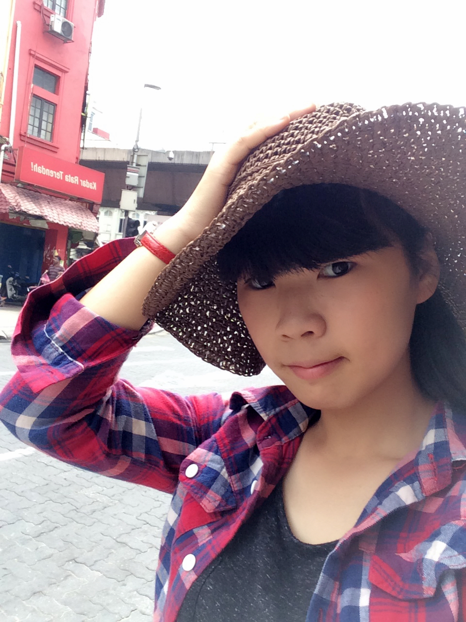 我们并不知道,坐旅游观光车是可以直达新峰肉骨茶的,于是傻里傻气的走