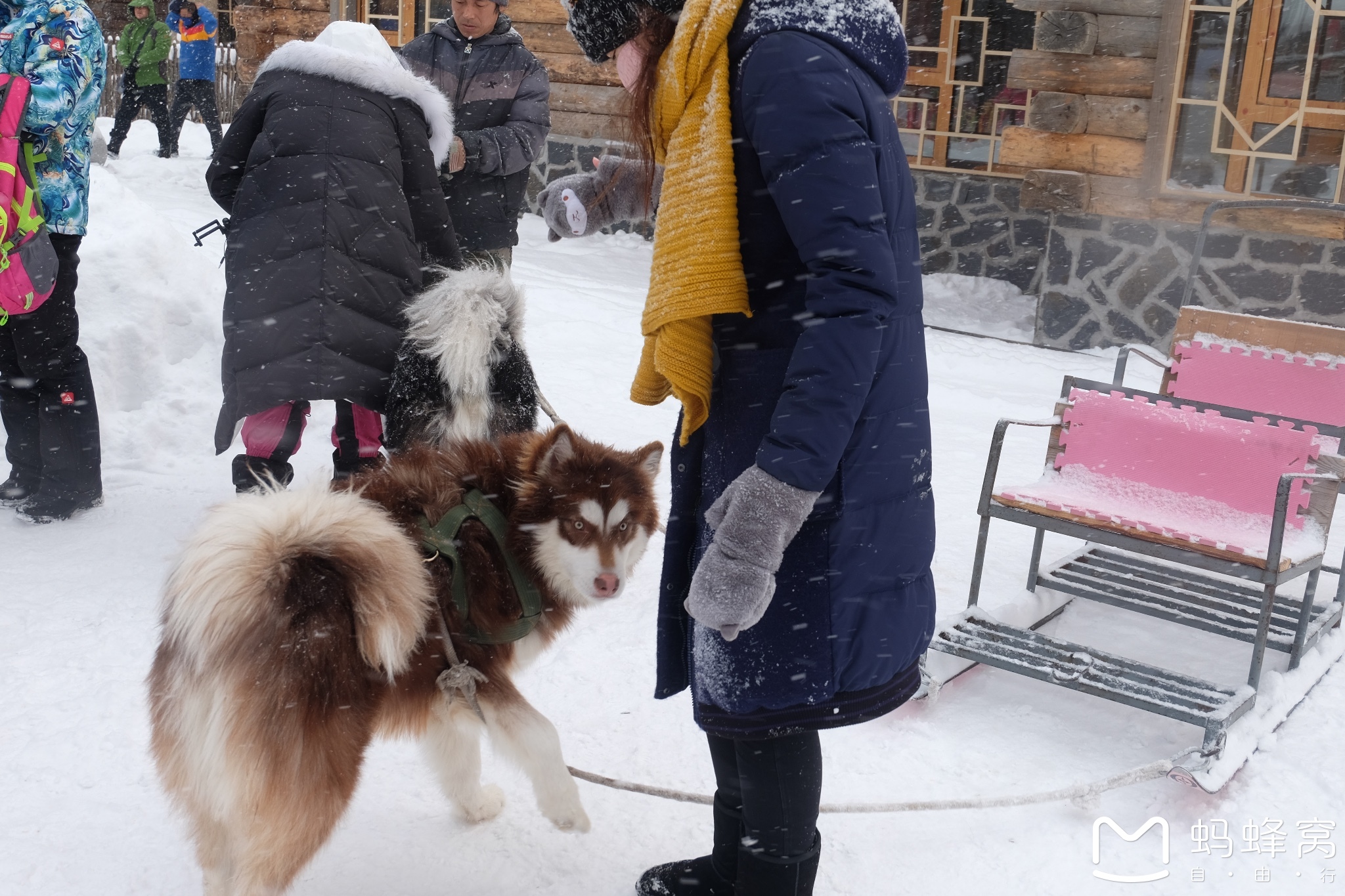 雪鄉自助遊攻略