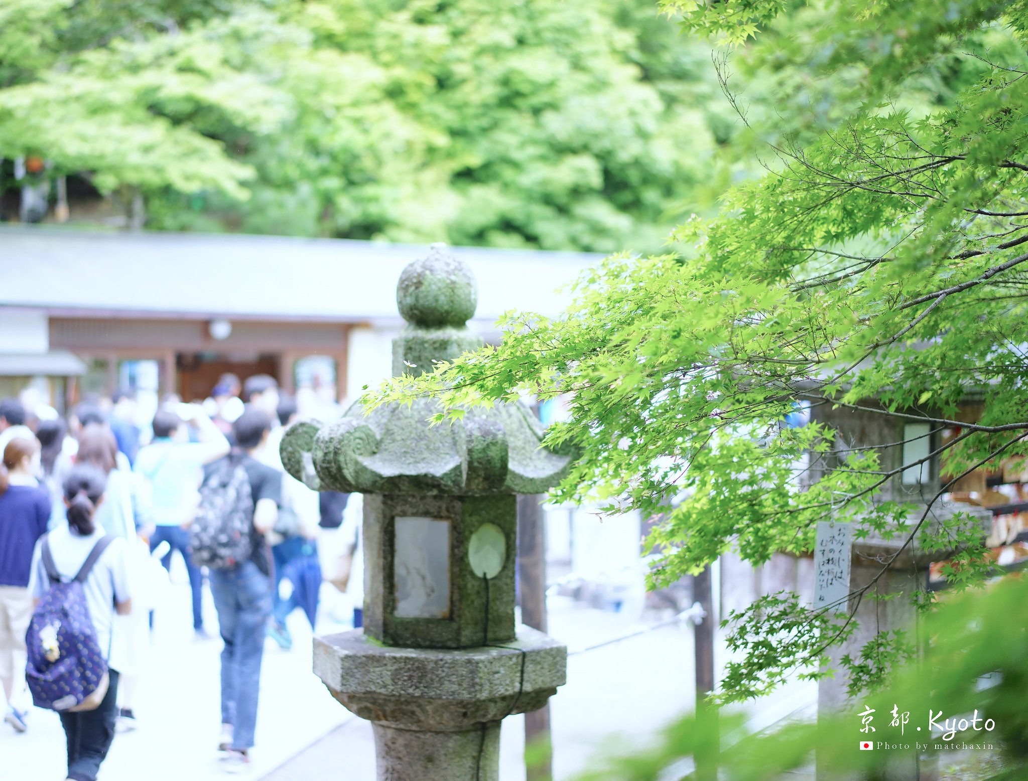 京都自助遊攻略