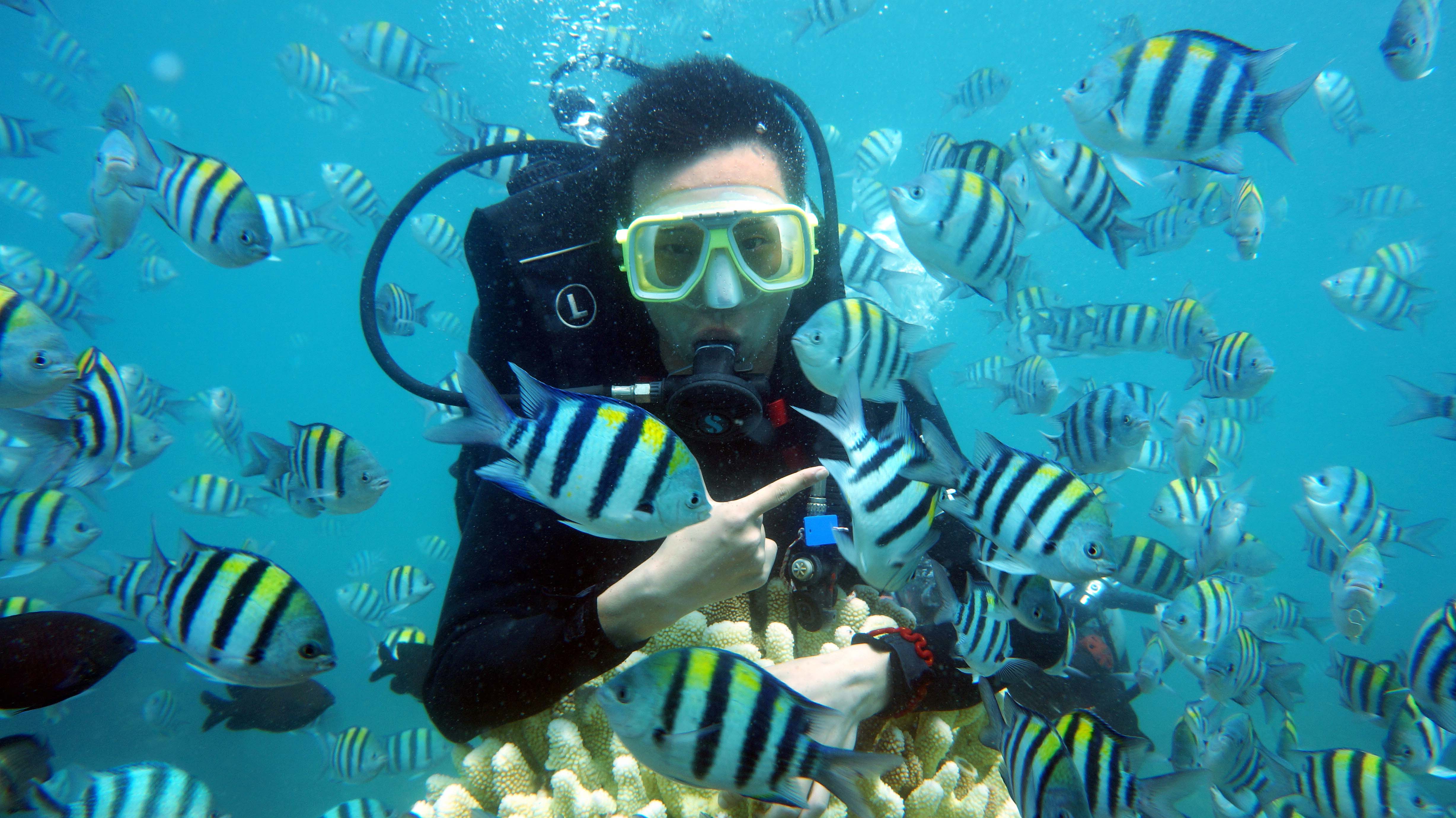 蜂友力荐·三亚分界洲岛户外潜水一日游(浮潜/深潜 海景午餐 分界洲岛