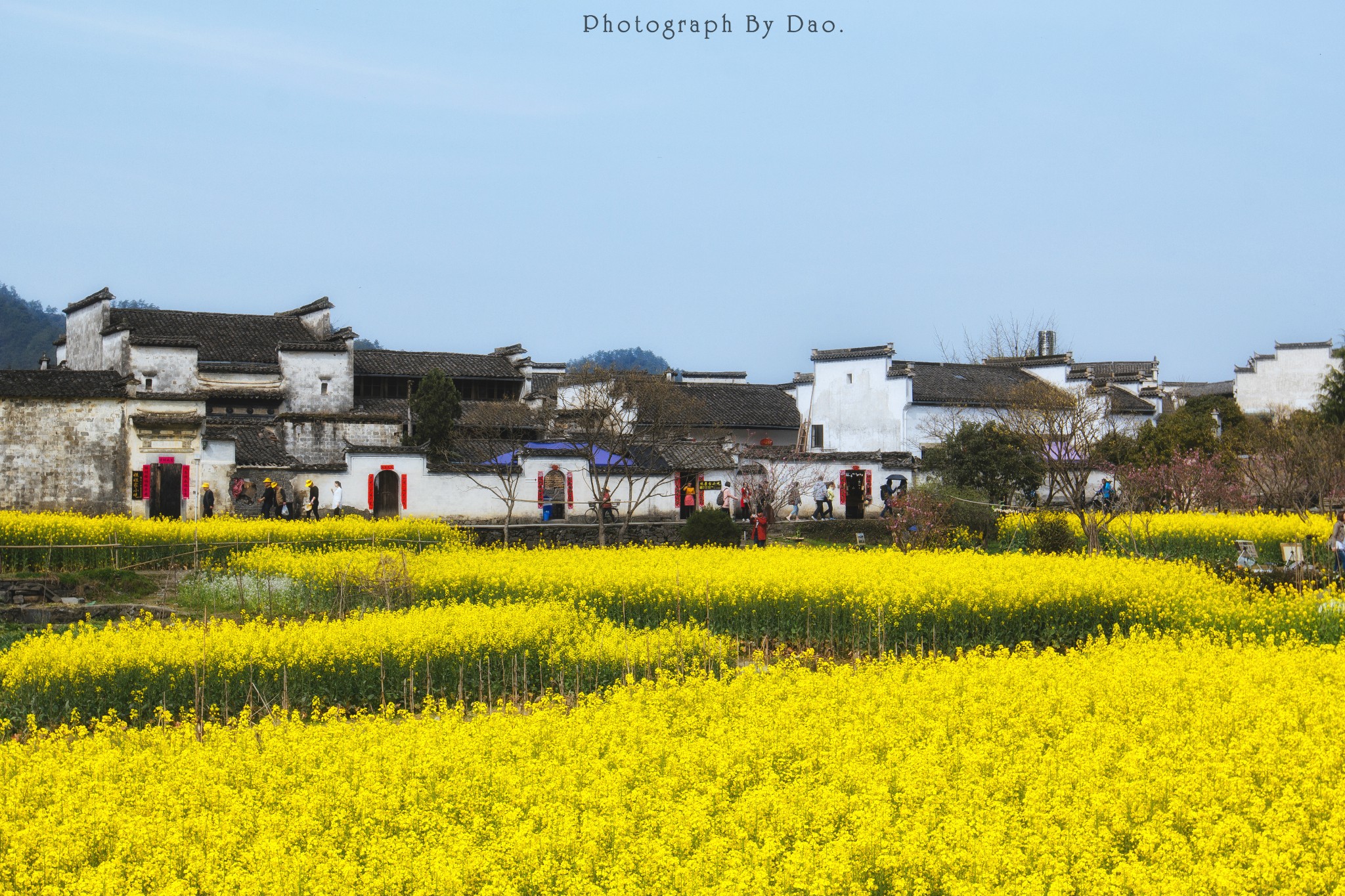 黃山自助遊攻略