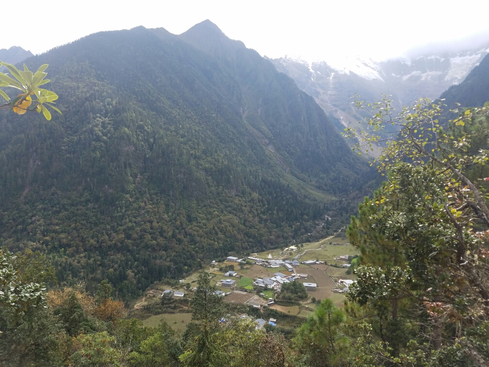 雨崩自助遊攻略