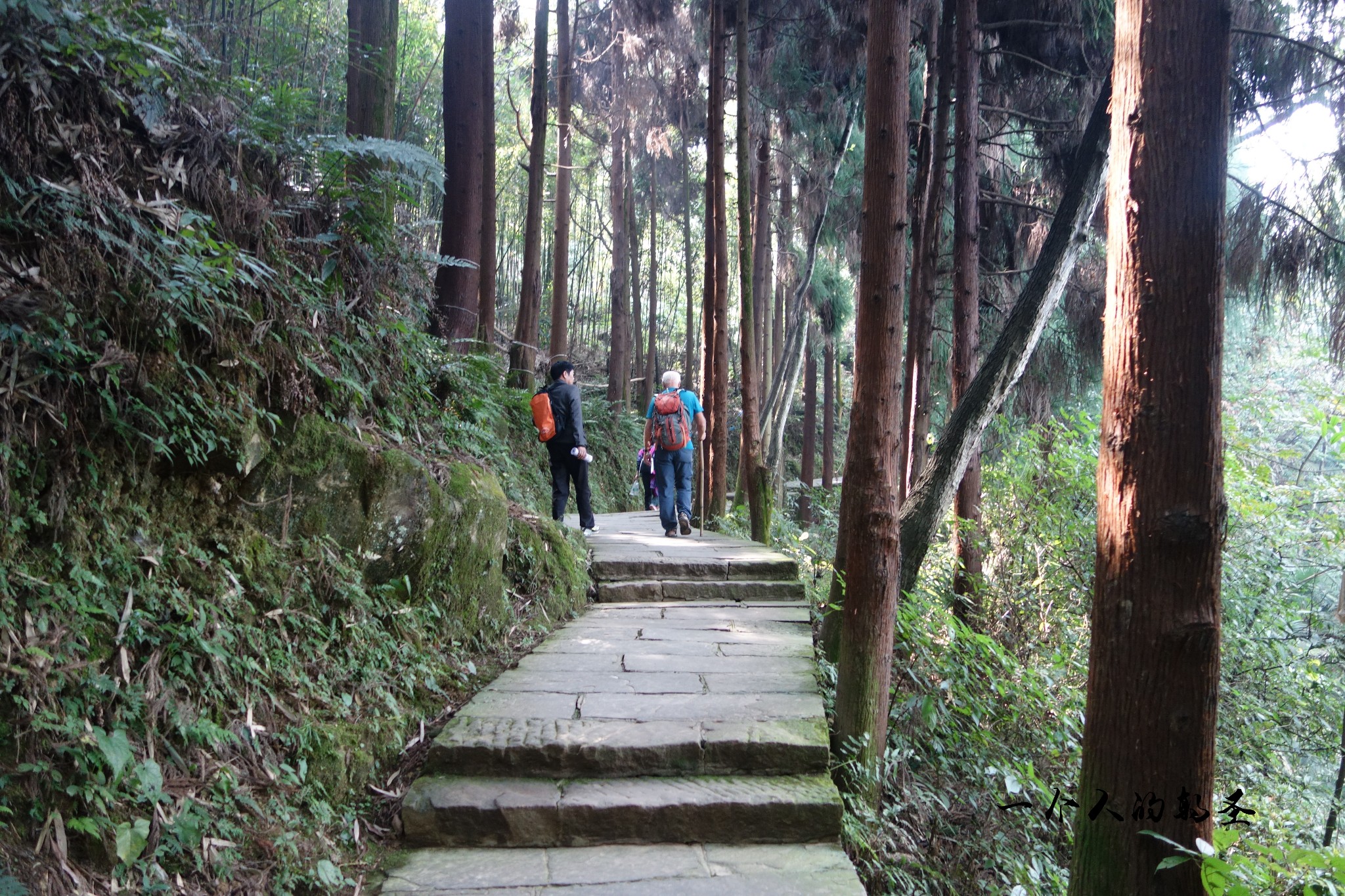 高山多少人口_织金县有多少人口(2)