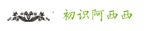 初识阿西西 初识阿西西