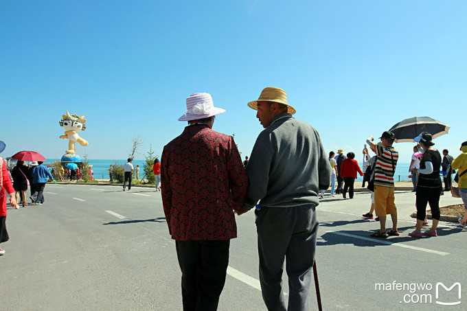 青海湖自助遊攻略