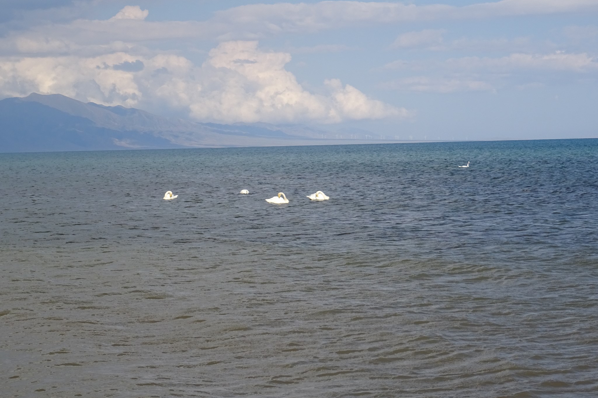 wKgBs1gb5IOASDLDAAknJmPB5WI23.jpeg?imageView2%2F2%2Fw%2F680%2Fq%2F90%7CimageMogr2%2Fstrip%2Fquality%2F90