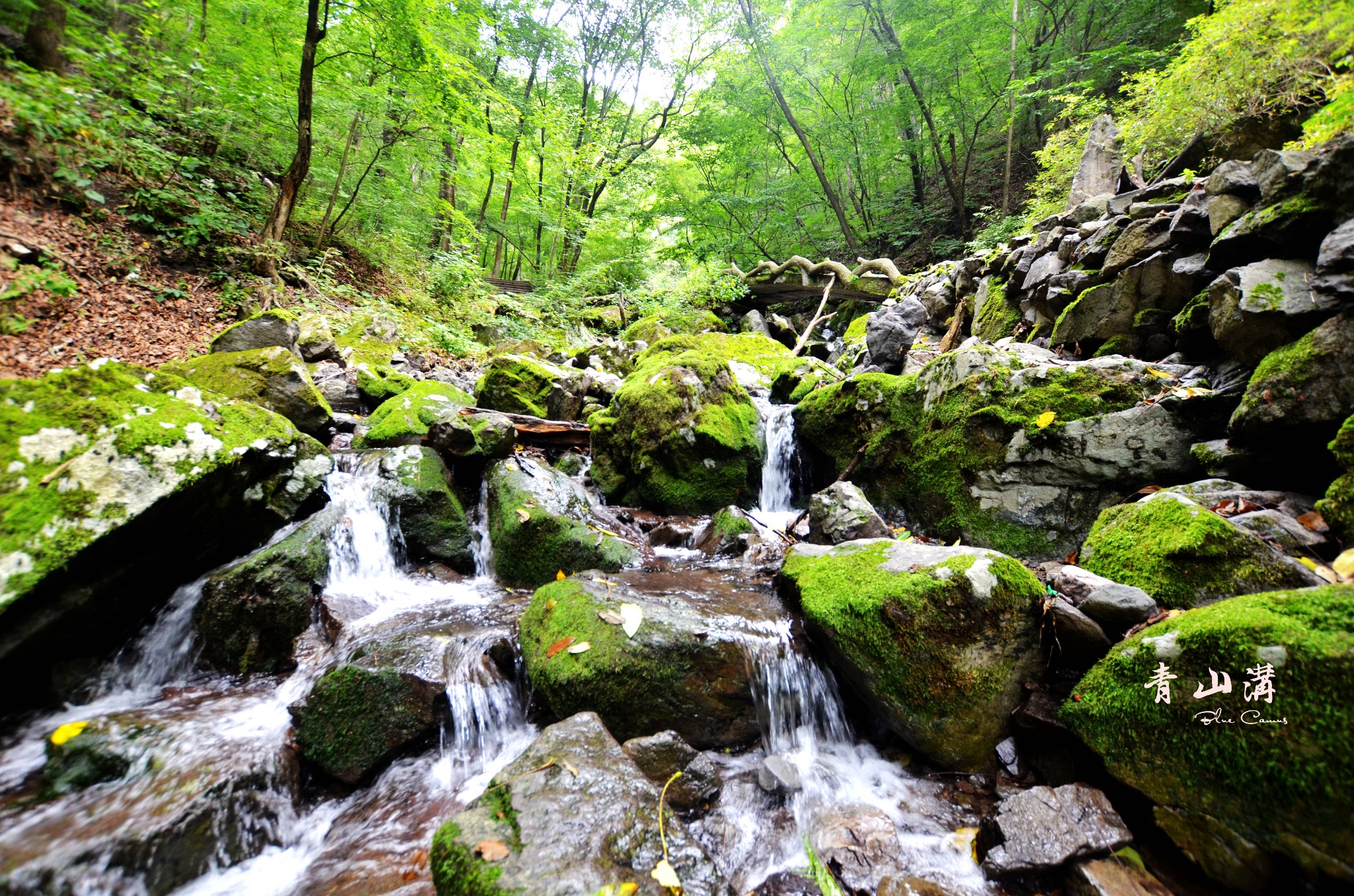 青山沟旅游景点图片