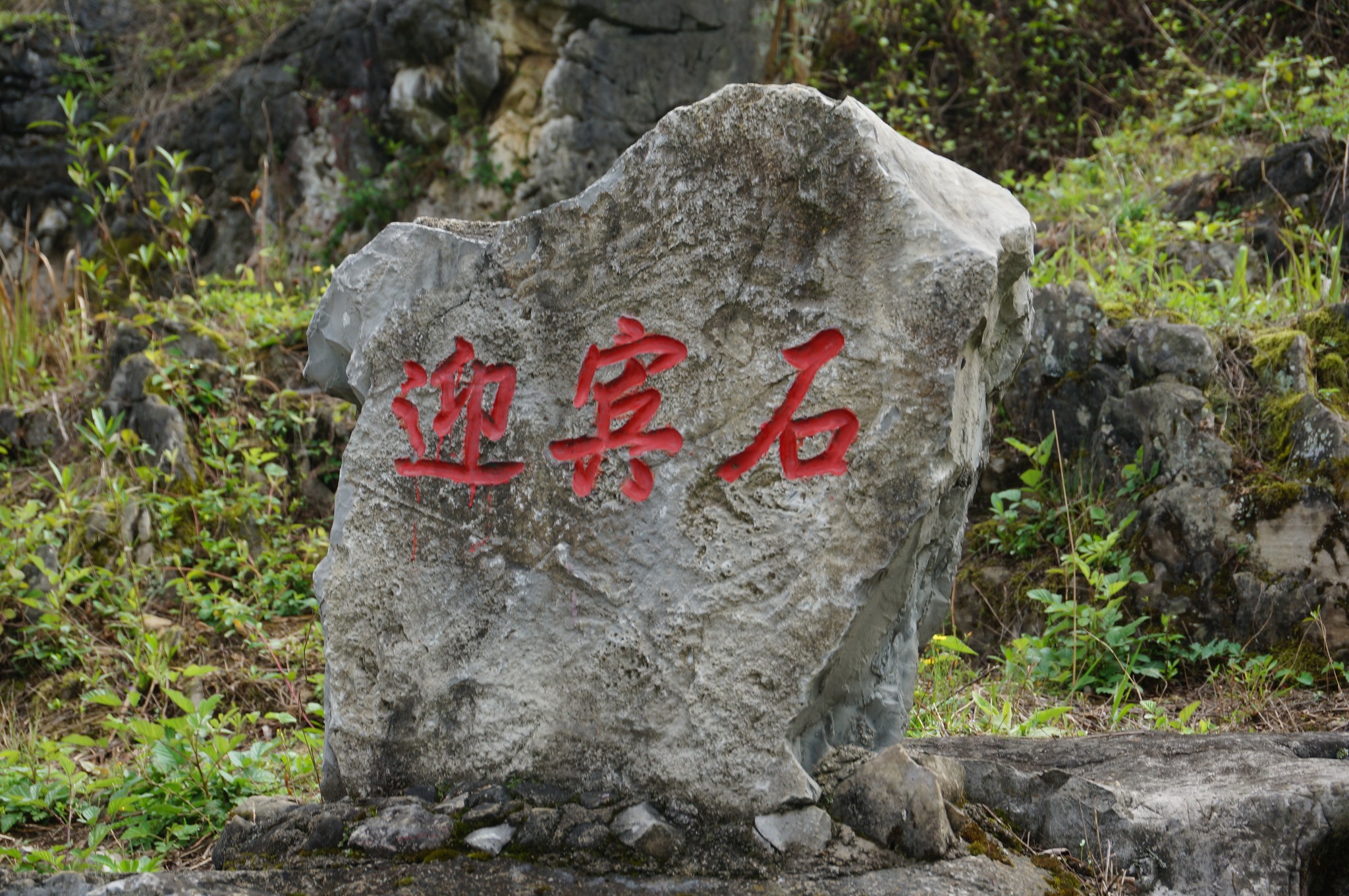 贞丰有多少人口_贞丰糯米饭图片(3)