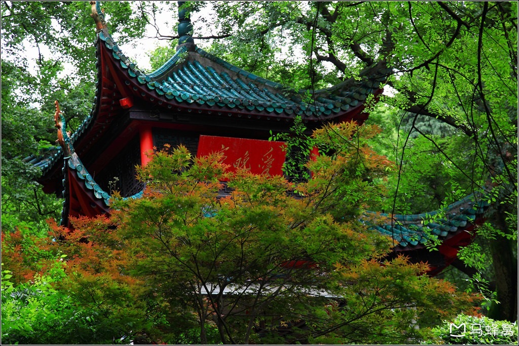 西接卫国街,东到三兴街,三泰街;其中重点地段为沿太平街,西牌楼