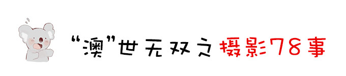 摄影 摄影