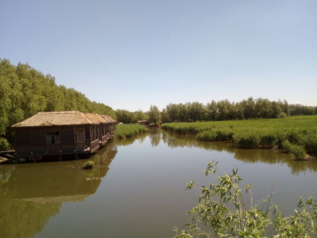 白鱼泡湿地公园(白鱼泡湿地公园收费吗)