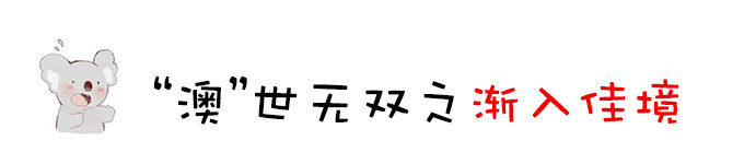 正式 正式