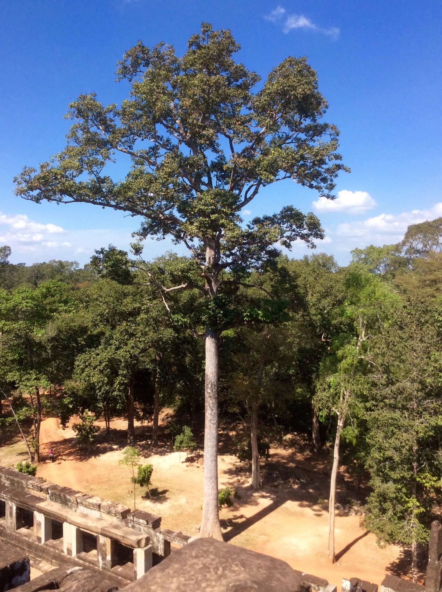 柬埔寨,初探世界