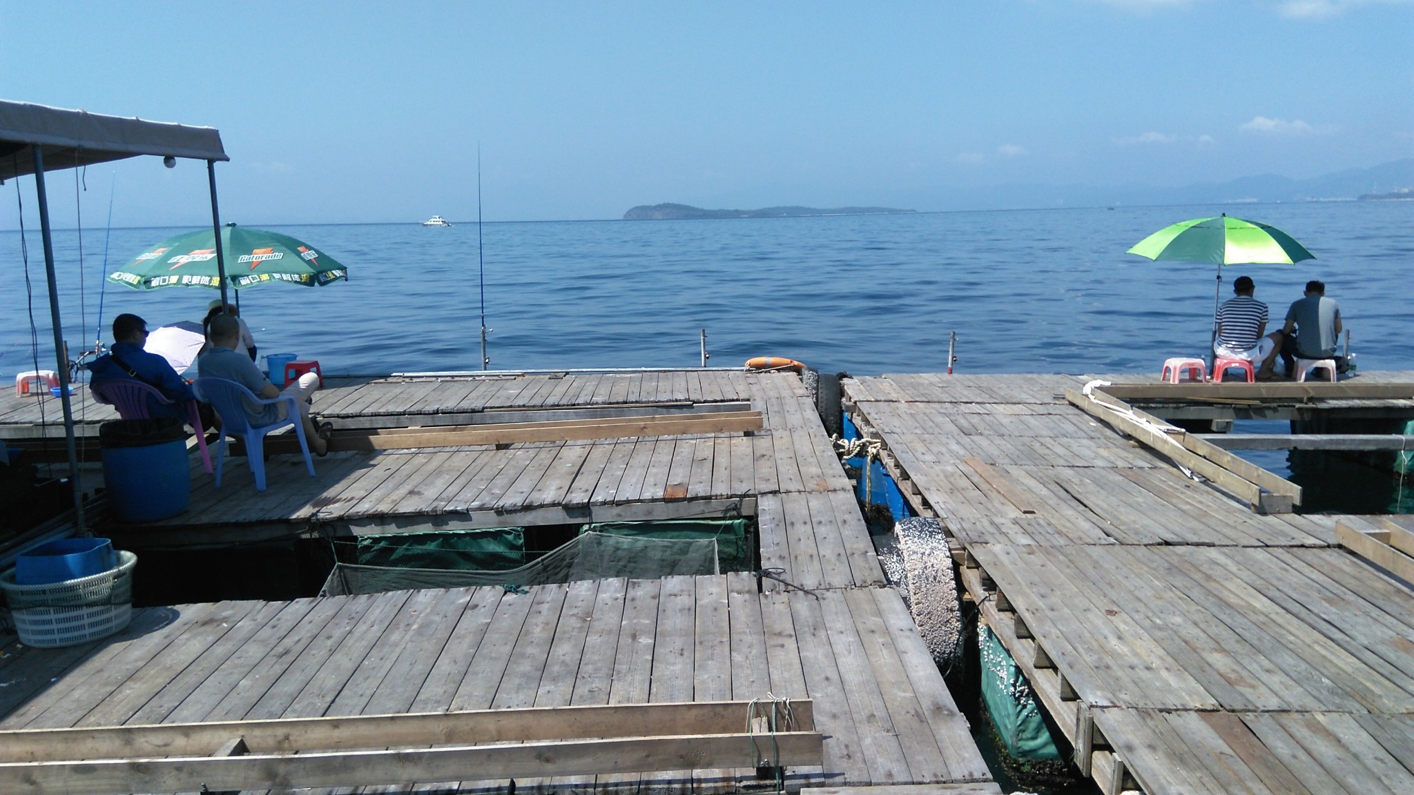 深圳南澳鱼排海钓