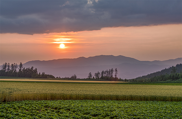 北海道自助遊攻略