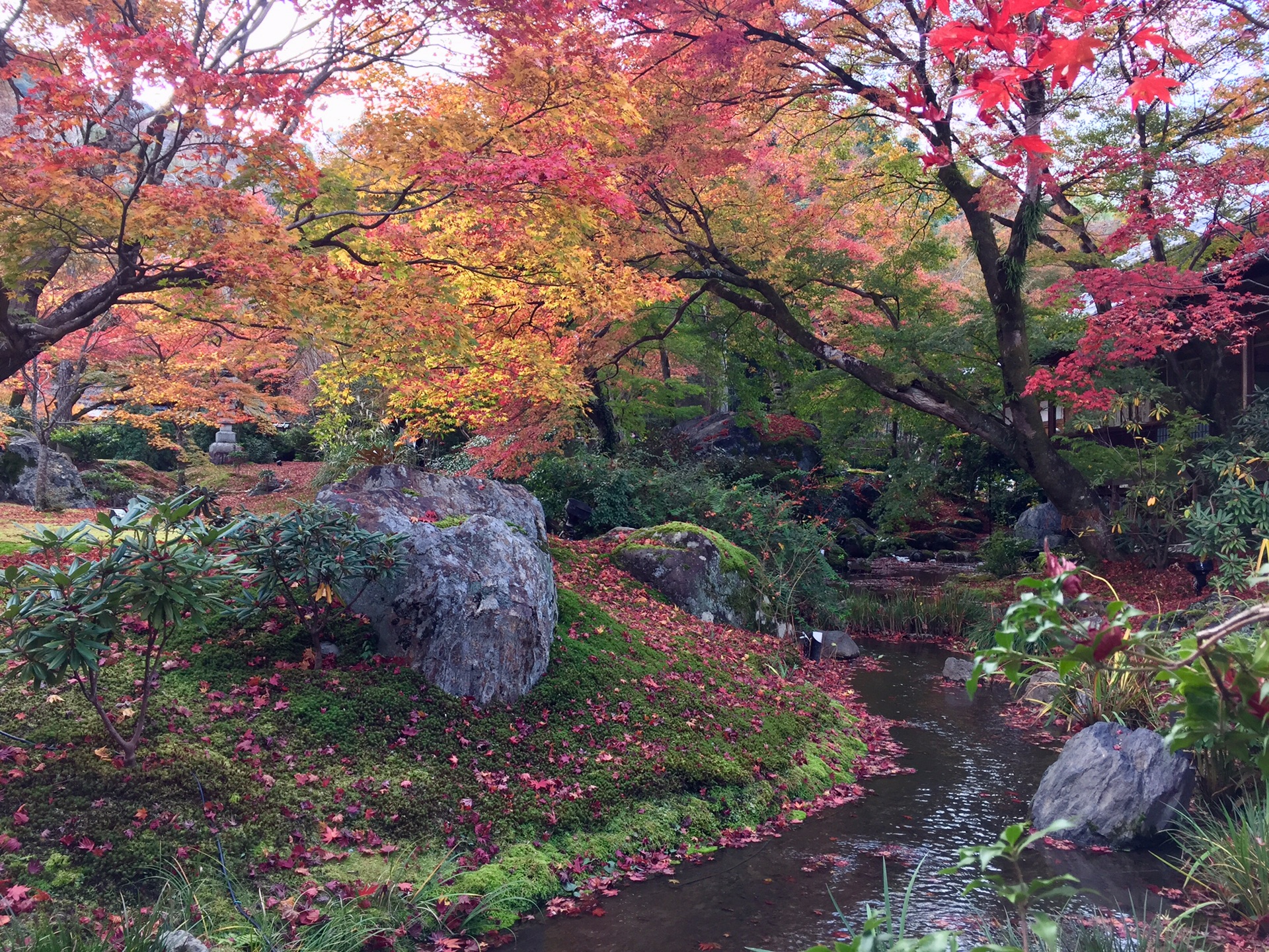 京都自助遊攻略