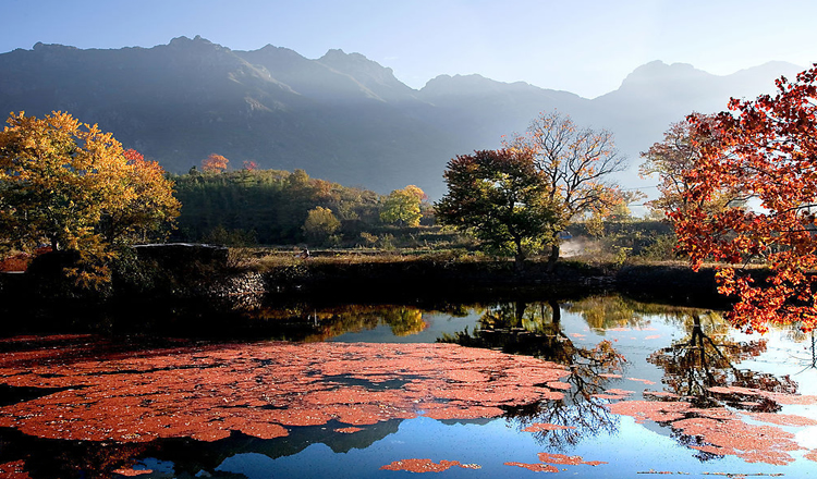 六安大别山石窟景区成人票 5a级风景区(提前1天预订 入园有保障)