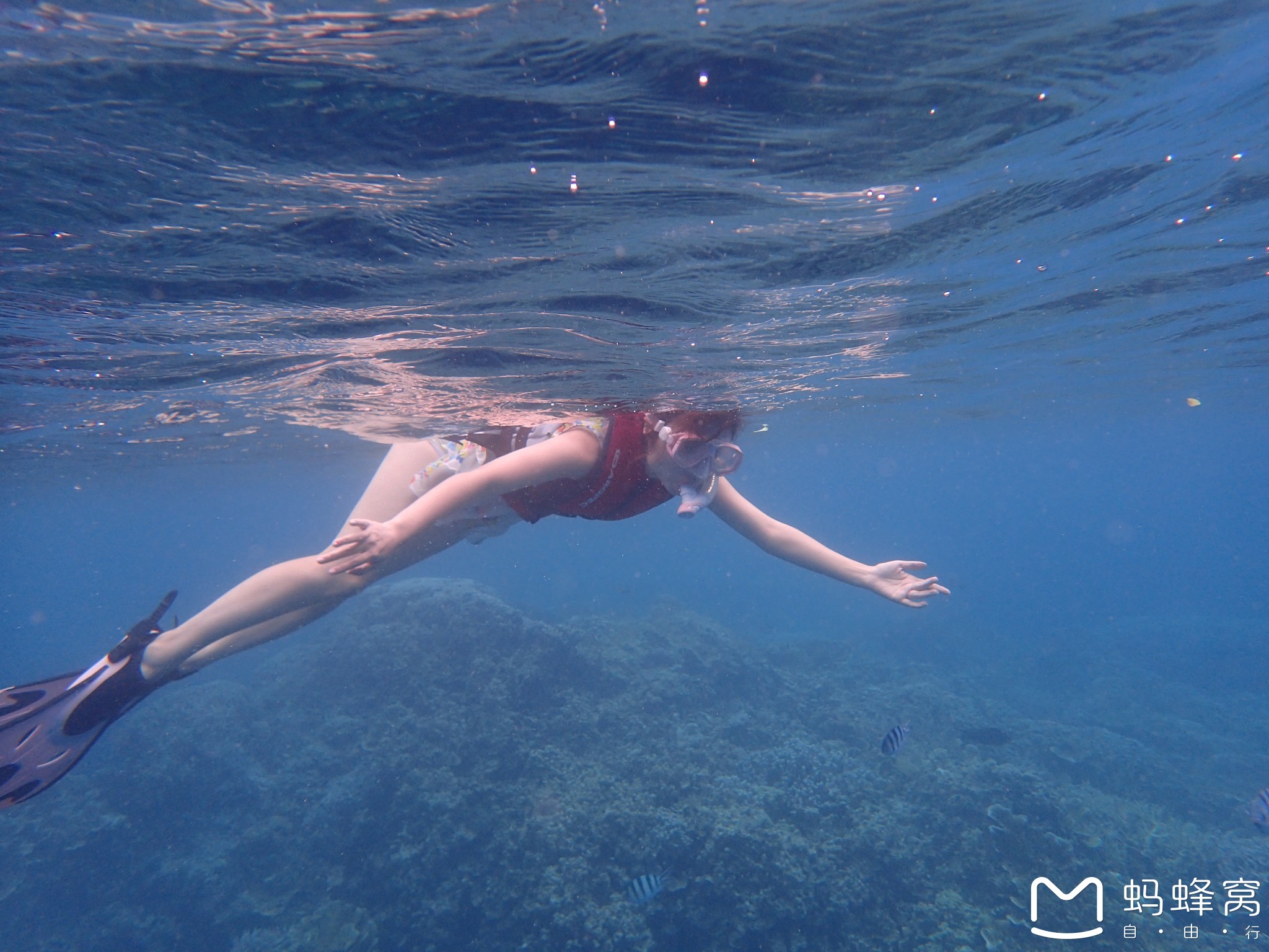 wKgBs1bPJlGAQ-ghAAkV4aI5l5w90.jpeg?imageView2%2F2%2Fw%2F680%2Fq%2F90