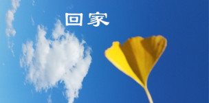 回家 回家