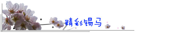 精彩锡马 精彩锡马