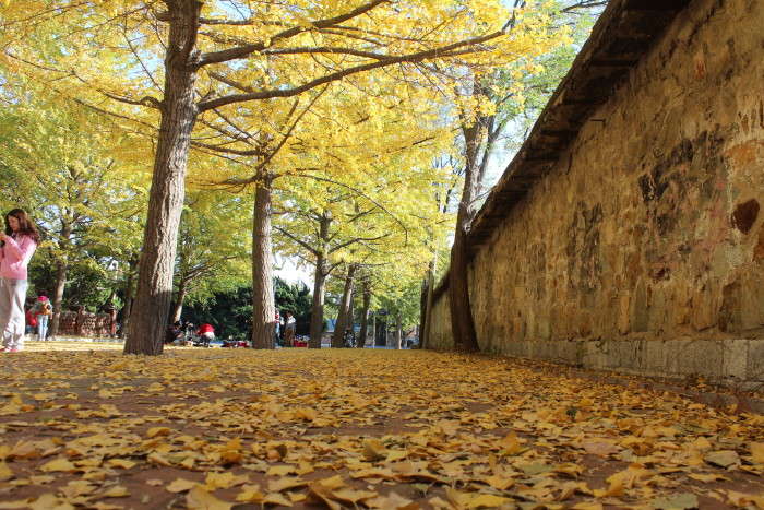 關於旅順太陽溝遊玩時間