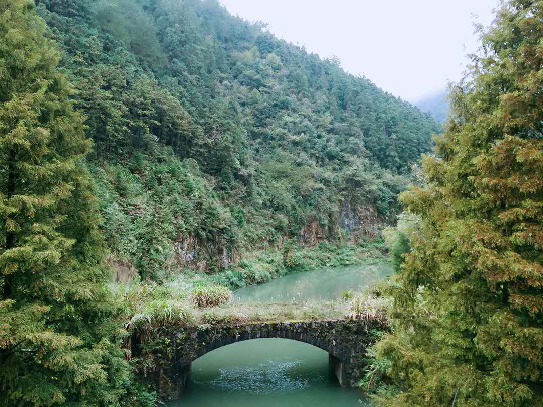 被负氧离子包围的森林公园—马家溪森林公园