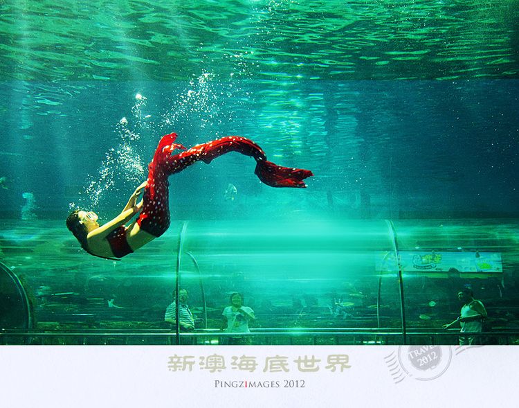 【秦皇島門票】新澳海底世界/海豚館聯票(檢票通道直接入園)