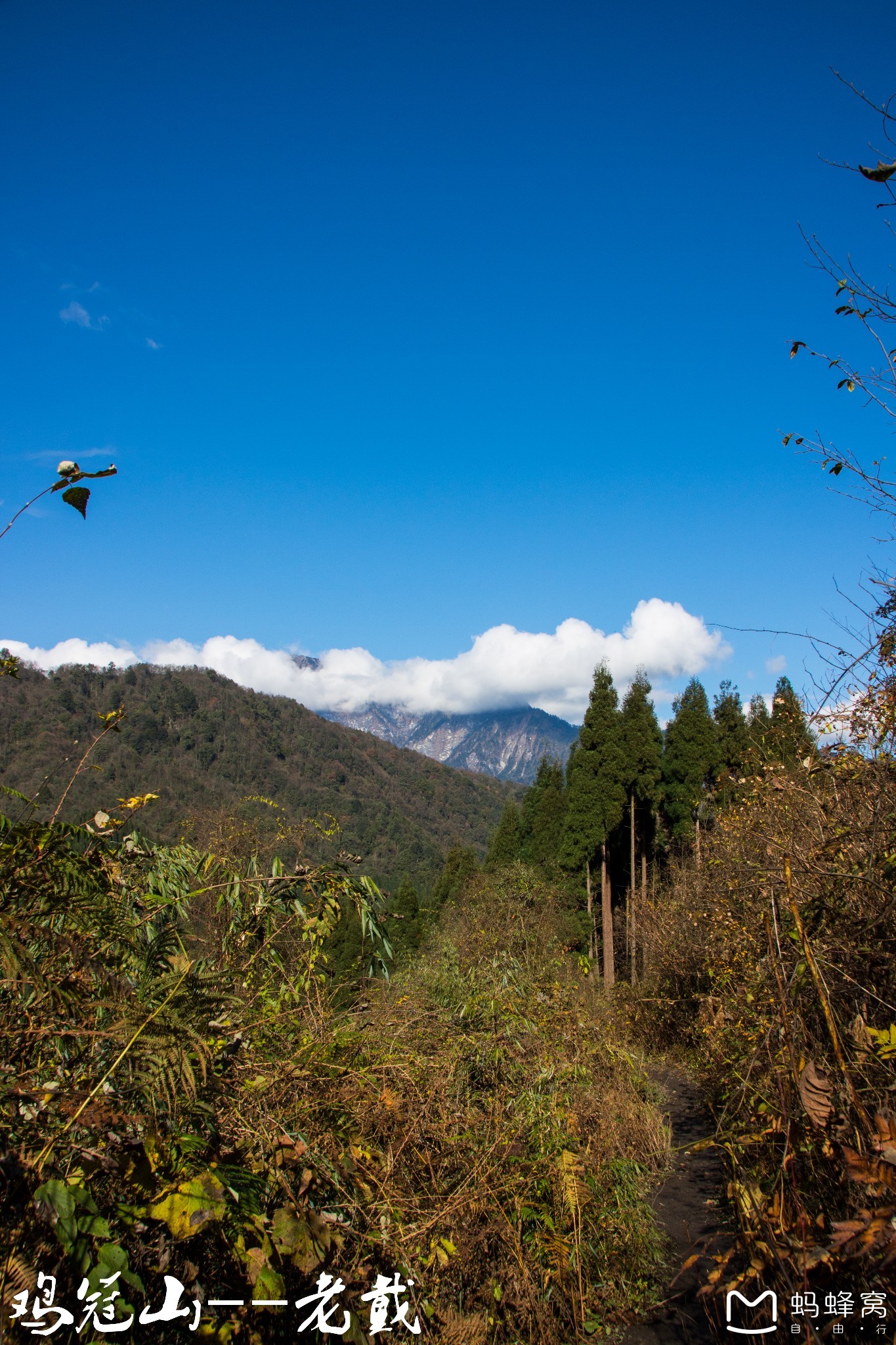 鸡冠山 崇州图片