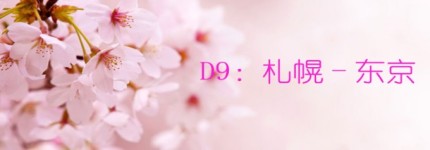 D9:札幌-东京 D9:札幌-东京