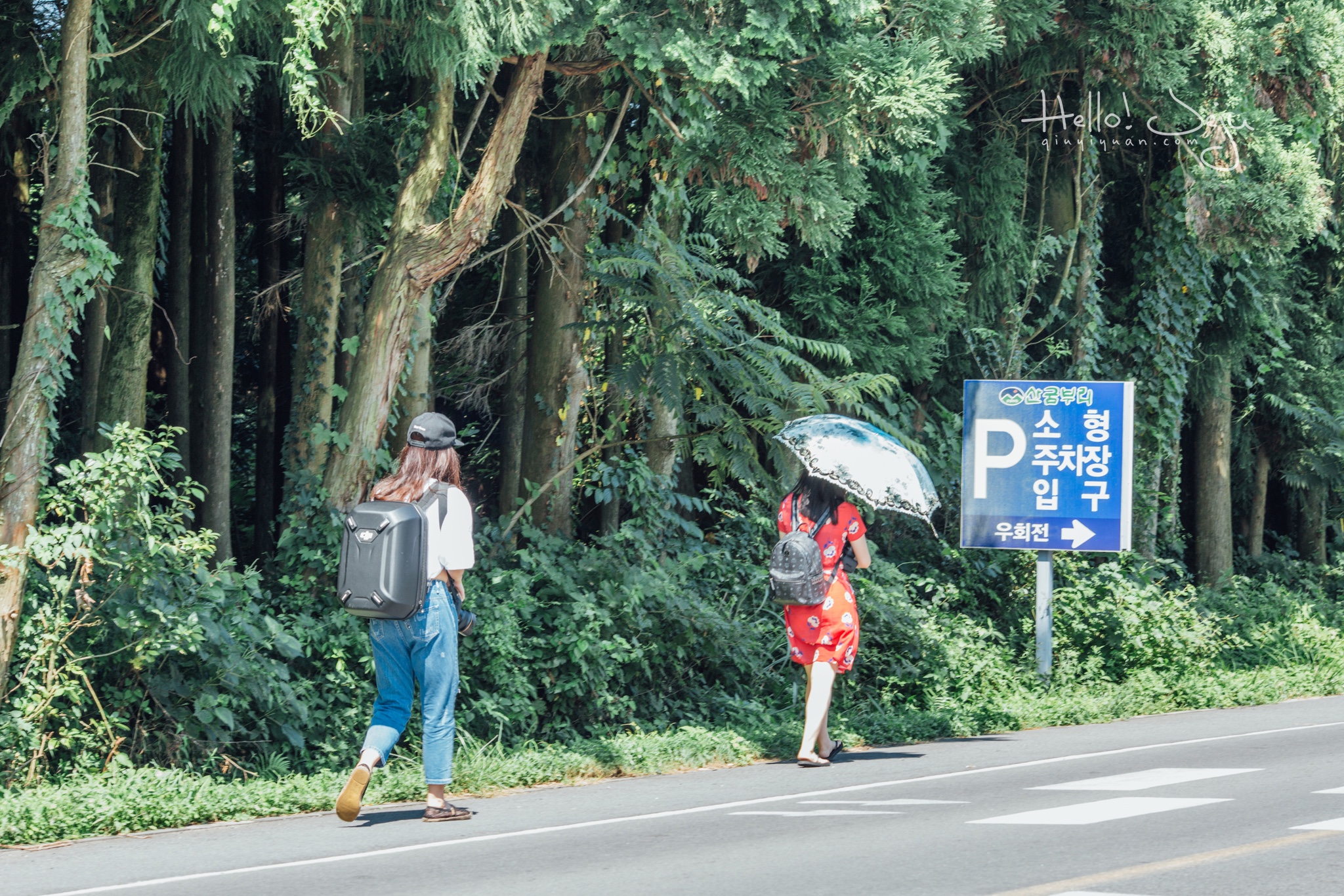 濟州島自助遊攻略