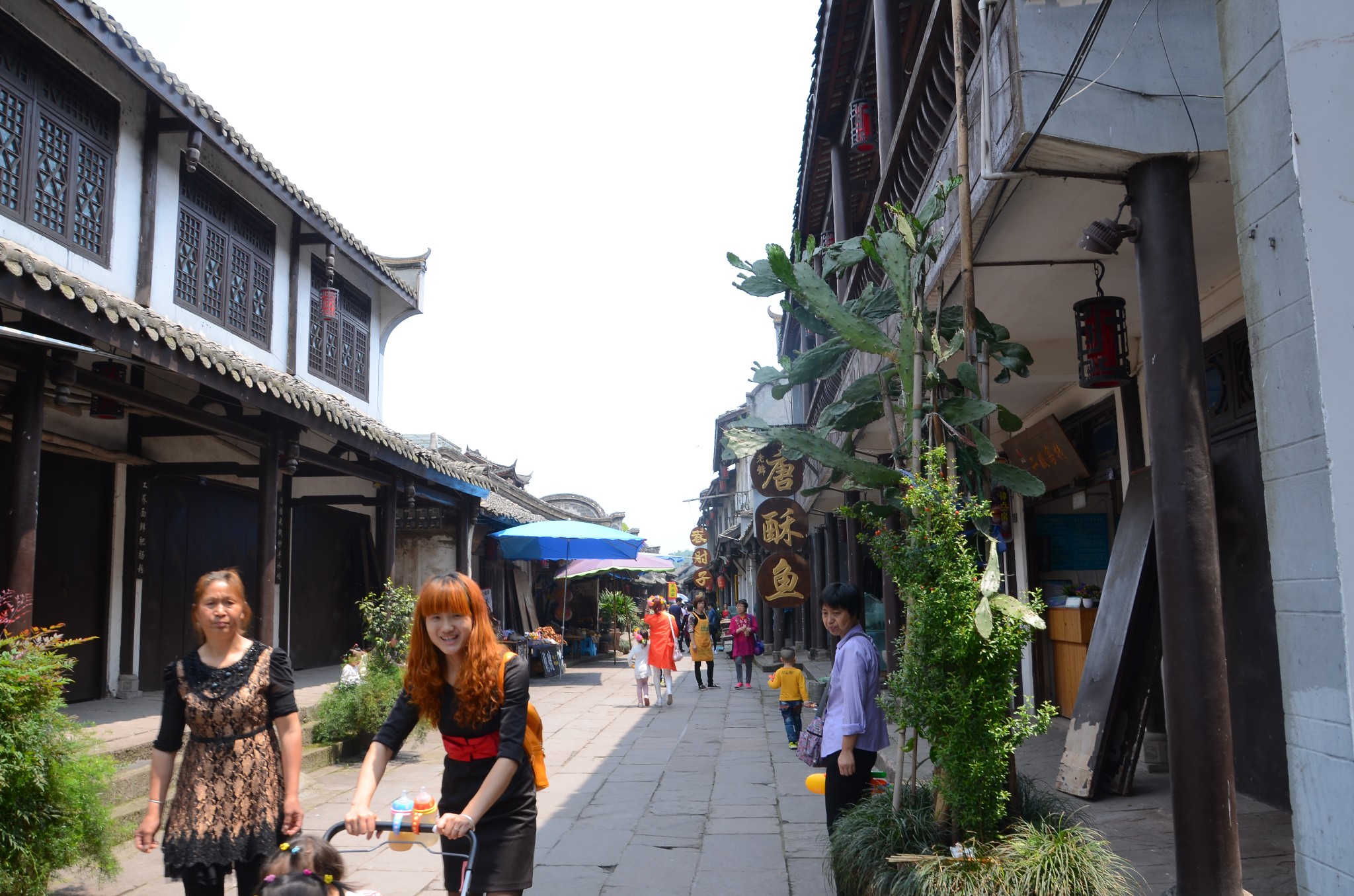 (黃龍溪古鎮,寬窄巷子)一日遊