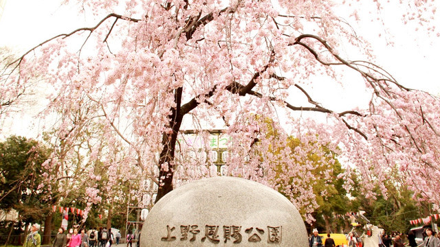 东京10大景点是什么，东京必去十大景点排名