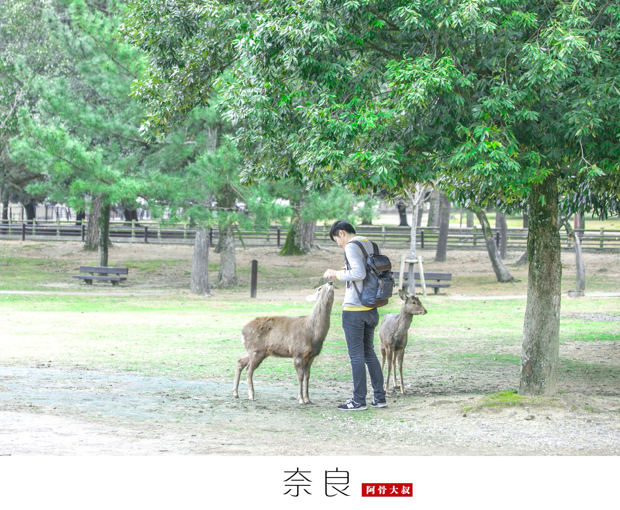 巴塞羅那自助遊攻略