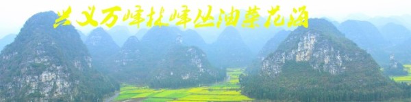兴义万峰林峰丛油菜花海 兴义万峰林峰丛油菜花海