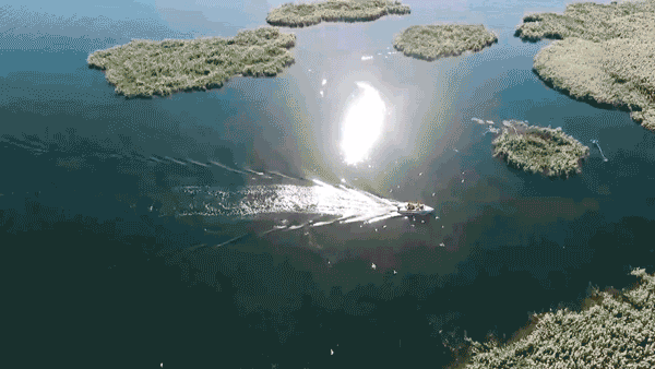 沙漠绿洲居延海,有水有草,还能观鸟!