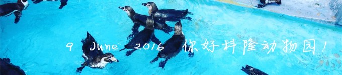 9 June 2016 你好科隆动物园! 9 June 2016 你好科隆动物园!