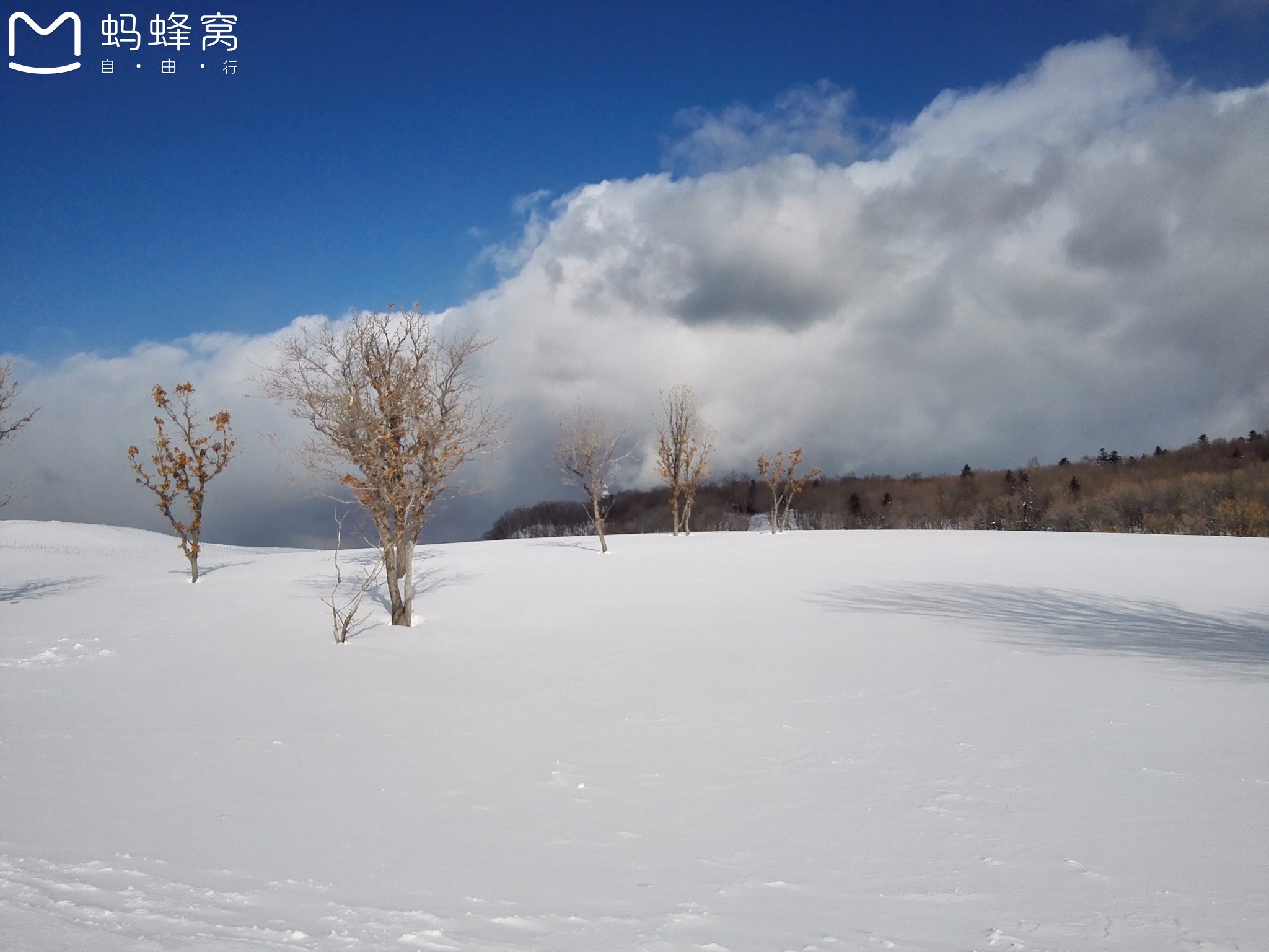 北海道自助遊攻略