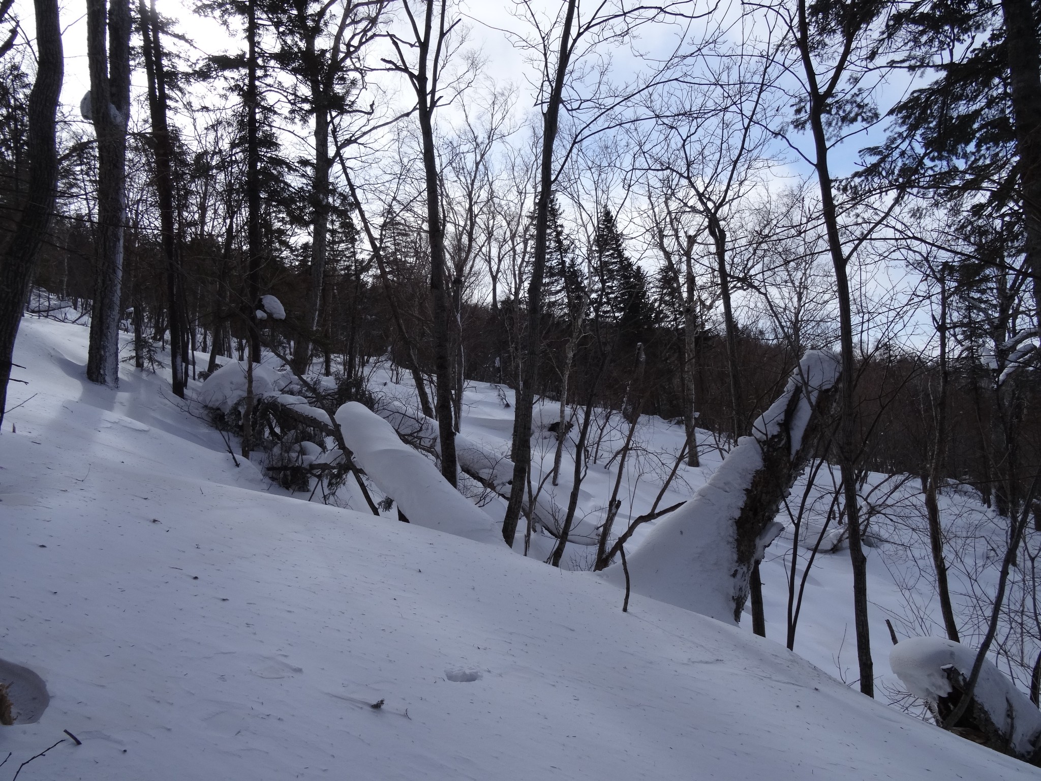 雪鄉自助遊攻略