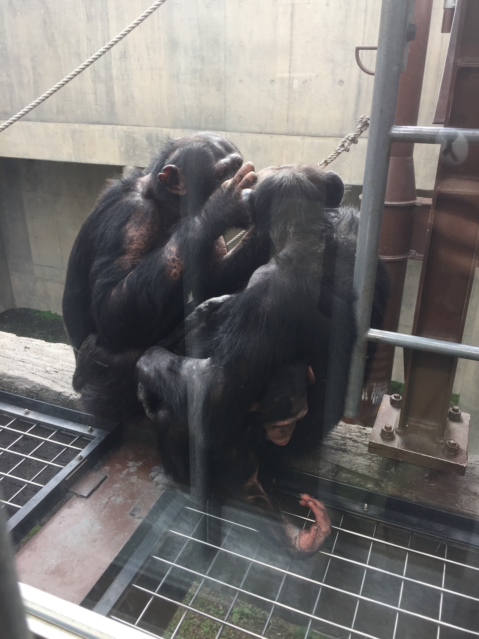 札幌自助遊攻略