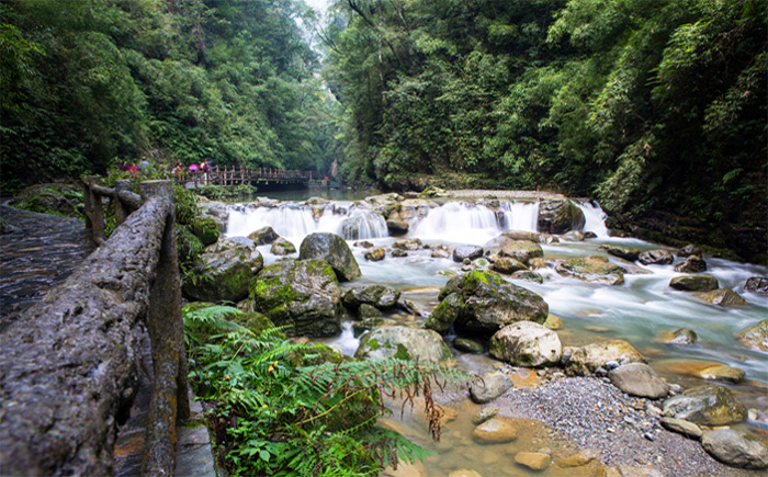 重慶萬盛 黑山谷景區門票電子票(隨時可定 未取票可退)