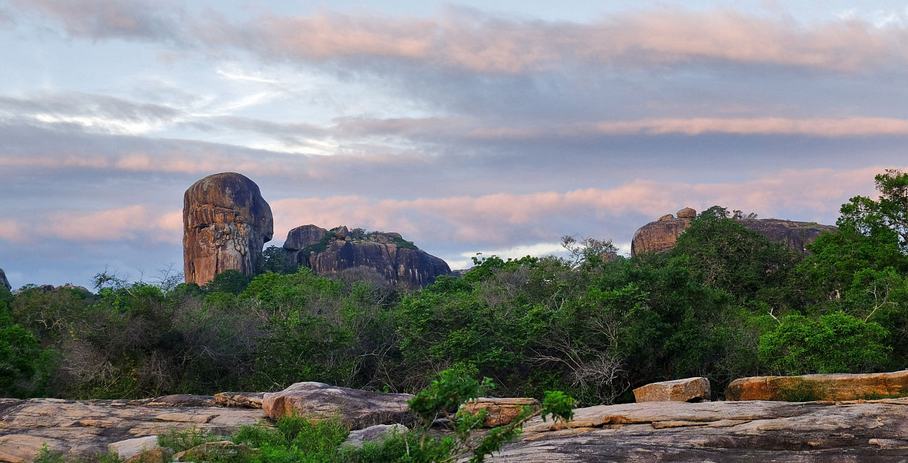 雅拉国家公园(yala national park)