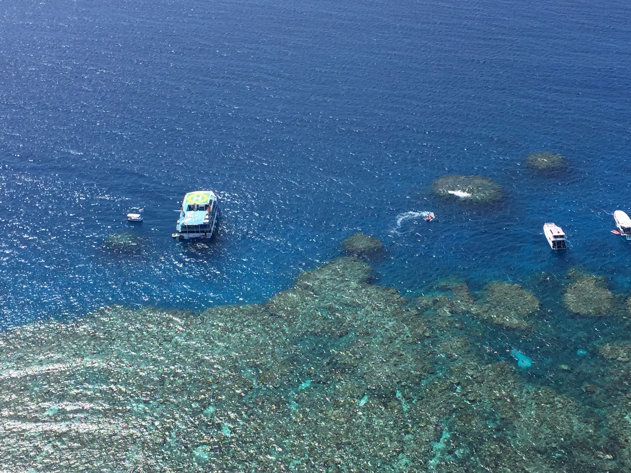 黃金海岸自助遊攻略