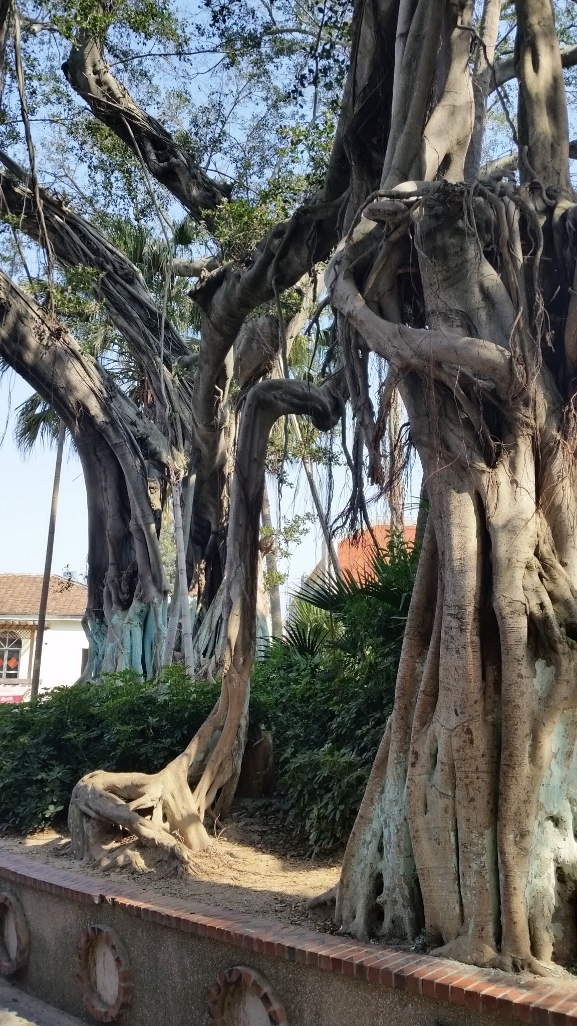 厦门的后花园鼓浪屿