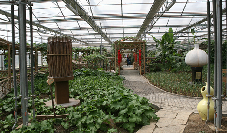 臨沂蘭陵國家農業公園成人票